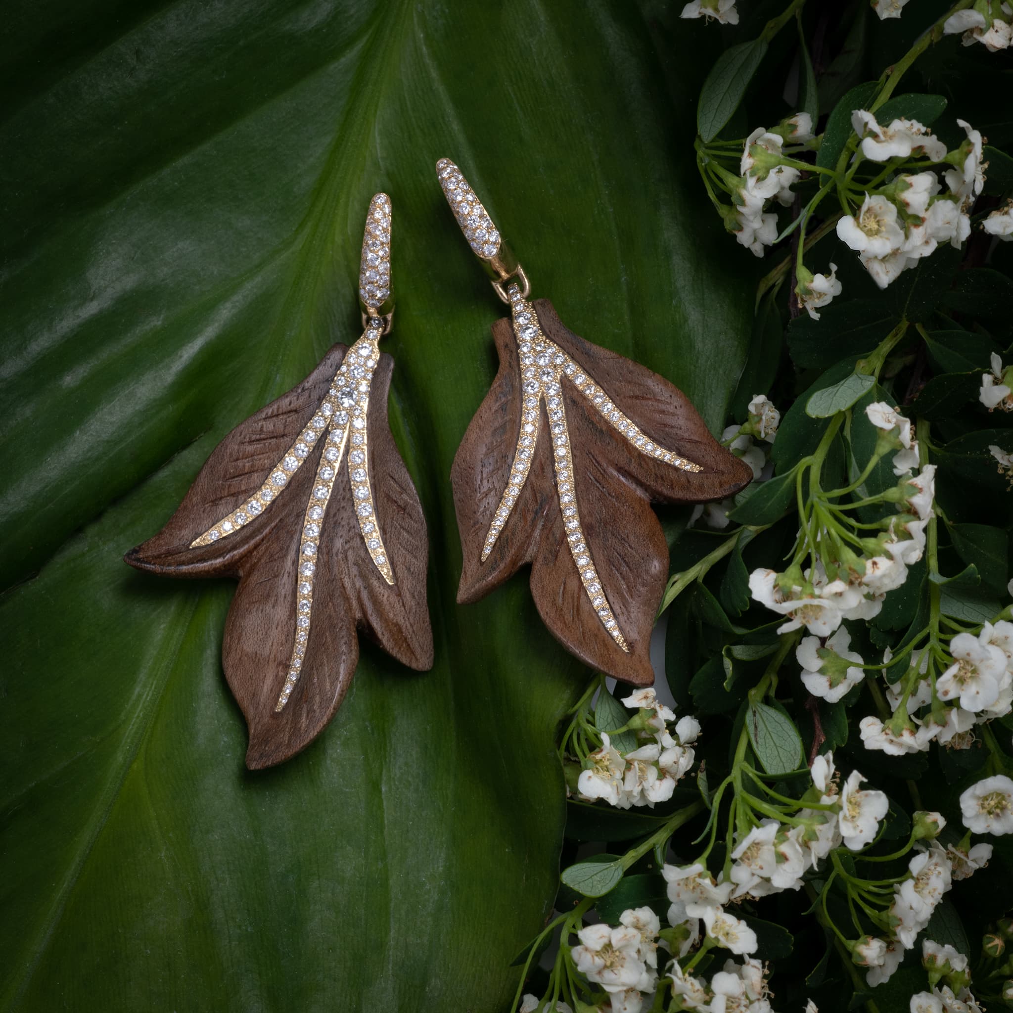 Earrings
